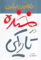 خنده در تاریکی