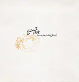 یادداشت ها(گزیده طرح های داریوش حسینی)