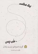 یک مگس خب پس