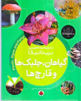 دانشنامه تصویری بریتانیکا گیاهان جلبک ها و قارچ ها
