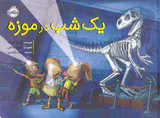 یک شب در موزه