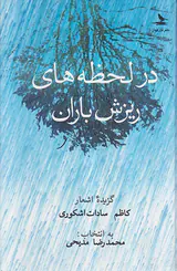 در لحظه های ریزش باران