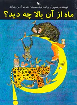 ماه از آن بالا چه دید