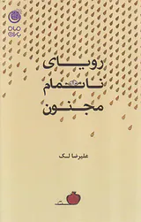 رویای ناتمام مجنون
