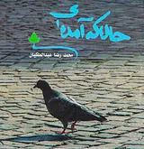 حالا که آمده ای