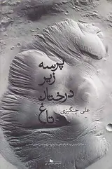 پرسه زیر درختان تاغ