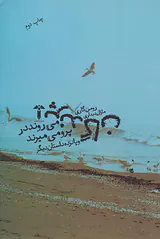 پرندگان می روند در پرو می میرند