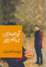 آینه های بی تصویر