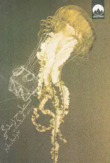 سطوح زندگی