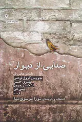 صدایی از دیوار