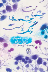 چشمانت چشمه ی رنگ هاست