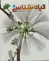 دایره المعارف مصور گیاه شناسی(دنیای اسرارآمیز گیاهان)