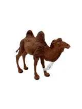 شتر دو کوهان