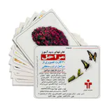 مجموعه کارتهای دیدآموز (مراحل)