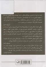 پاپ و مرتد