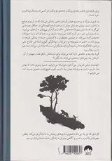 گربه ای که ذن یاد می داد