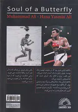 روح یک پروانه
