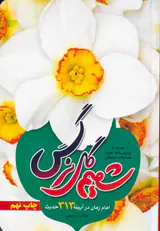 شمیم گل نرگس امام زمان در آیینه313حدیث