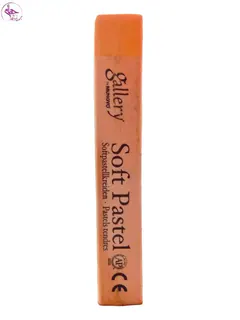 پاستل گچی گالری Medium Flesh کد 005