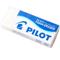 پاکن اسفنجی پایلوت F20