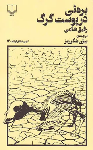بره ئی در پوست گرگ
