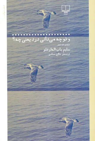 و تو چه می دانی درد یعنی چه