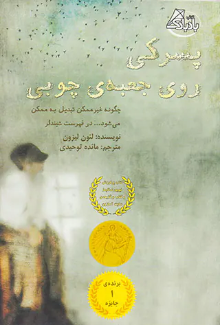 پسرکی روی جعبه ی چوبی