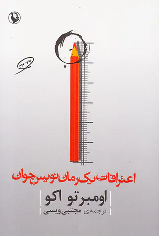 اعترافات یک رمان نویس جوان