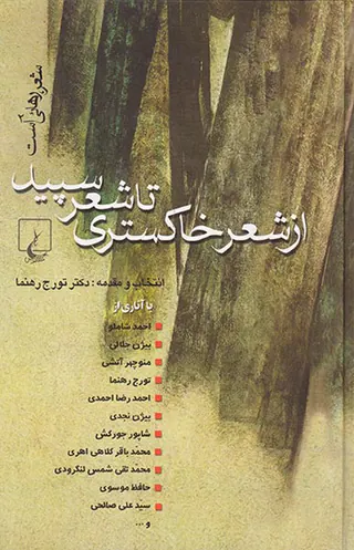 از شعر خاکستری تا شعر سپید