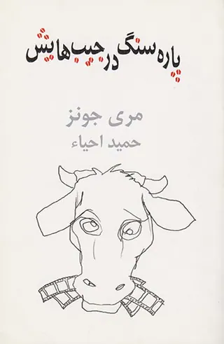 پاره سنگ در جیب هایش
