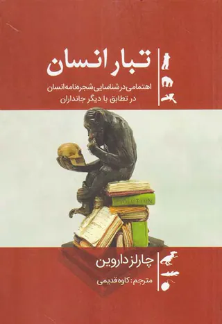 تبار انسان