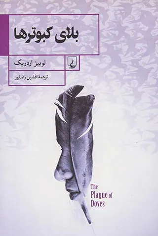 بلای کبوترها