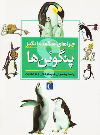 چراهای شگفت انگیز پنگوئن ها