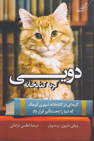 دویی گربه کتابخانه