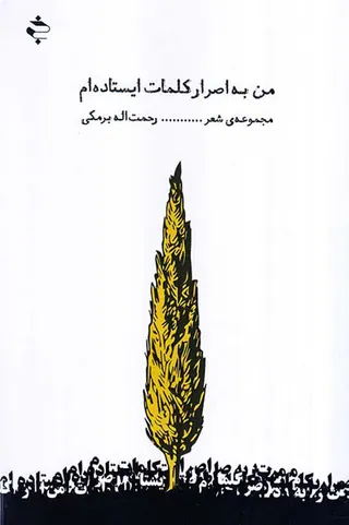 من به اصرار کلمات ایستاده ام