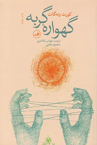 گهواره گربه