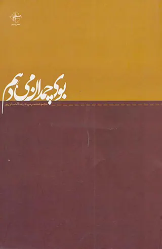 بوی چمدان می دهم