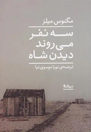 سه نفر می روند دیدن شاه