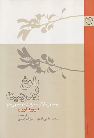 بلوغ و مدرنیته(نیچه وبر فوکو و سرشت در وجهی خرد)