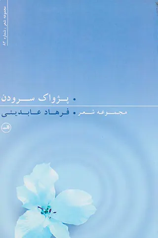 پژواک سرودن