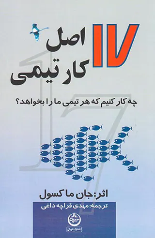 17اصل کار تیمی
