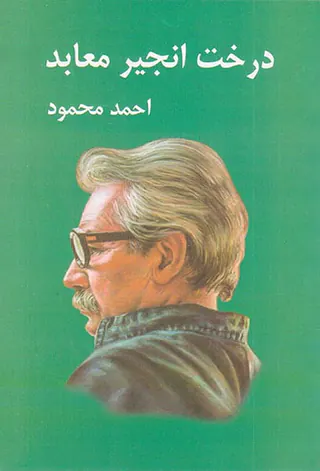 درخت انجیر معابد2جلدی