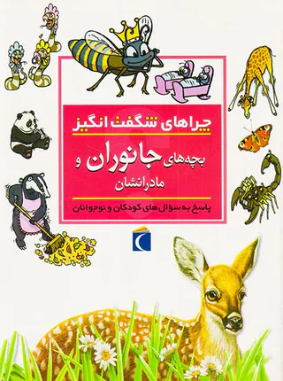 چراهای شگفت انگیز بچه های جانوران و مادرانشان