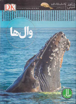 شاهد عینی وال ها