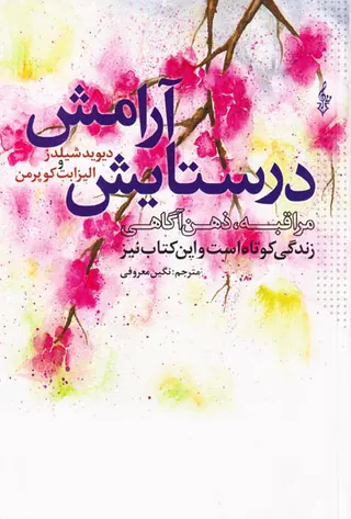 در ستایش آرامش -مراقبه، ذهن آگاهی