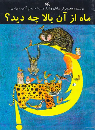 ماه از آن بالا چه دید