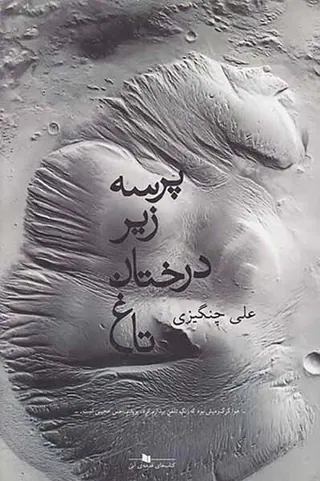 پرسه زیر درختان تاغ