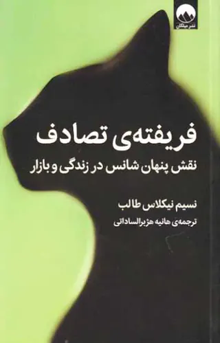 فریفته ی تصادف - نقش پنهان شانس در زندگی و بازار