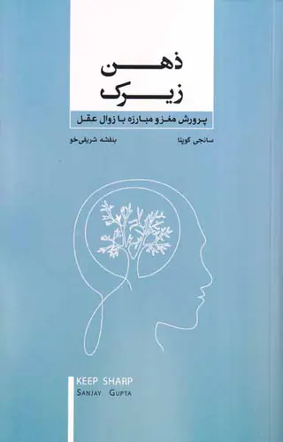 ذهن زیرک