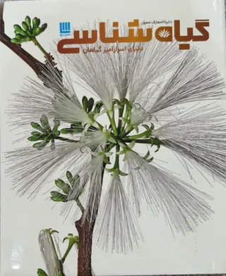 دایره المعارف مصور گیاه شناسی(دنیای اسرارآمیز گیاهان)